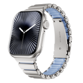 GEMINI Stainless Steel Band